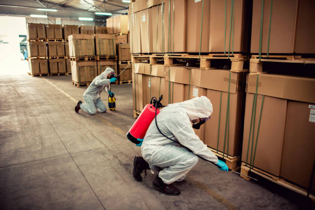 Best Termite Control Services  in Oquawka, IL