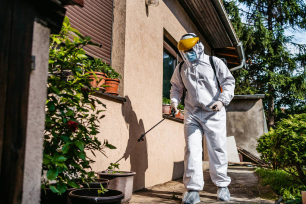 Best Pest Prevention Services  in Oquawka, IL