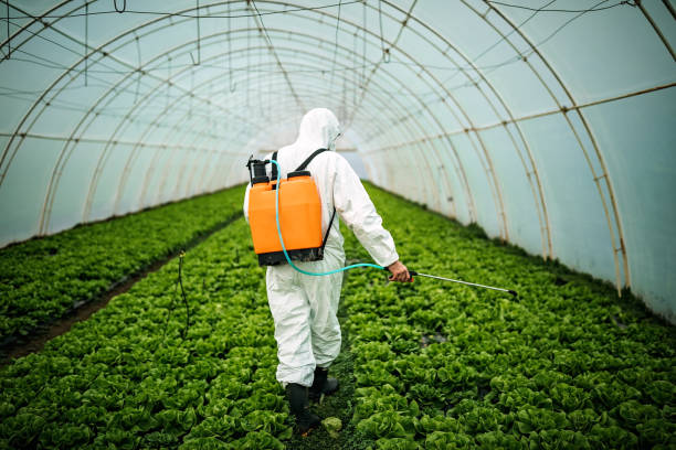 Pest Control Cost in Oquawka, IL