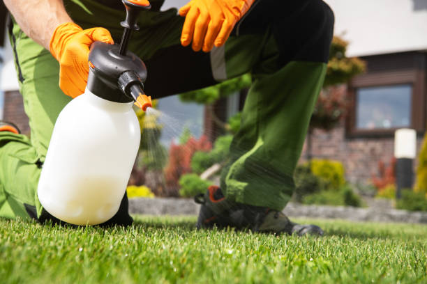 Best Exterminator Services  in Oquawka, IL