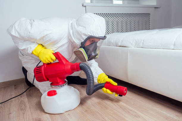 Best Pest Control Near Me  in Oquawka, IL