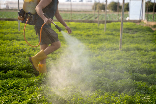 Best Pest Control Near Me in Oquawka, IL