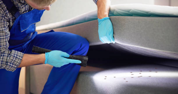 Best Pest Inspection Near Me  in Oquawka, IL
