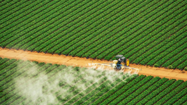 Reliable Oquawka, IL Pest Control Solutions