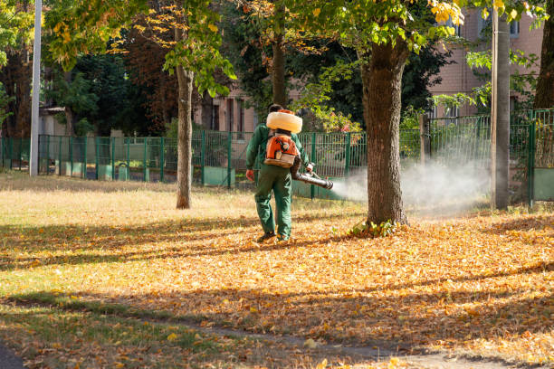 Oquawka, IL Pest Control Pros