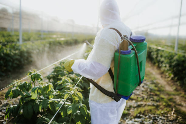 Best Ant Control Services  in Oquawka, IL